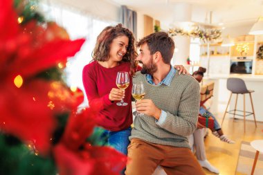 Güzel, genç ve aşık bir çift Noel 'i arkadaşlarıyla evde geçirir, kadeh kaldırır ve Noel ağacında şarap içerken arkadaşlar hediyeleri açarlar.