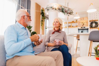 Üst düzey bir çift kanepeye oturmuş Noel ağacını süslüyor, evde Noel 'i kutluyor, kahve içerken eğleniyor ve hoş sohbetler ediyor.