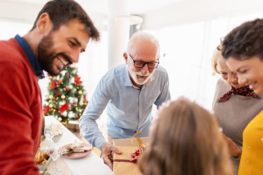 Güzel, mutlu bir aile Noel kutlaması için evde toplandı. Birlikte vakit geçiriyorlar ve Noel hediyelerini değiş tokuş ediyorlar.