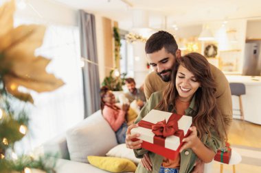 Güzel, genç ve aşık bir çift, güzel dekore edilmiş Noel ağacının hediyelerini değiş tokuş ederek, arkadaşlarıyla birlikte tatillerini evde geçirirler.