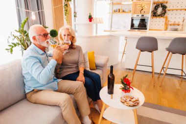 Mutlu son sınıf çifti kış tatillerini birlikte geçiriyor, evde Noel 'i kutlarken şarap içiyor.