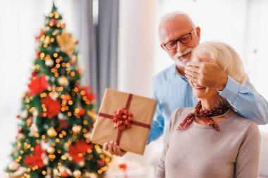 Güzel dekore edilmiş Noel ağacının yanında duran mutlu yaşlı çift Noel 'i evde kutluyorlar.