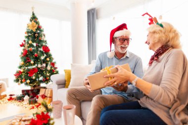 Üst düzey bir çift kanepeye oturmuş Noel ağacını süslüyor, Noel 'i evde kutluyor, hediyelerini verirken eğleniyorlar.