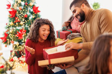 Bir grup neşeli genç arkadaş Noel 'i evde birlikte geçiriyorlar, hediyeleri değiş tokuş edip açarak eğleniyorlar.
