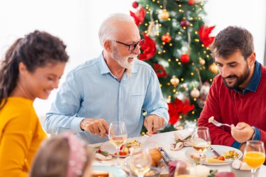 Güzel, mutlu bir aile masanın etrafında toplanmış, evde hep birlikte Noel yemeği yiyorlar.