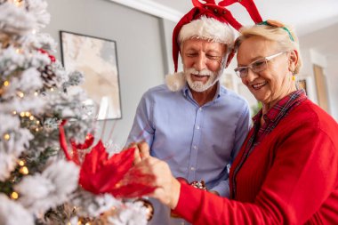 Mutlu son sınıf çifti Noel ağacını süslüyor, üzerine Noel süsleri takıyor ve kış tatilinde evde eğleniyorlar.