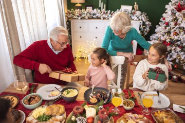 Büyükanne ve büyükbabalar Noel tatilini torunlarıyla geçirirken onlara Noel hediyeleriyle sürpriz yapıp evde Noel yemeği yiyorlar.