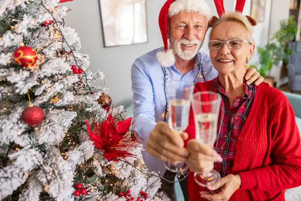 Mutlu yaşlı çift Noel 'i kutlarken evde dinleniyor, kadeh kaldırıyor, güzelce süslenmiş Noel ağacıyla şampanya içiyor ve sarılıyor.