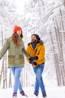 Güzel, genç bir çift, kış günlerini dışarıda, karlı bir havada, el ele tutuşarak, birbirini iterek ve sataşarak geçiriyorlar.