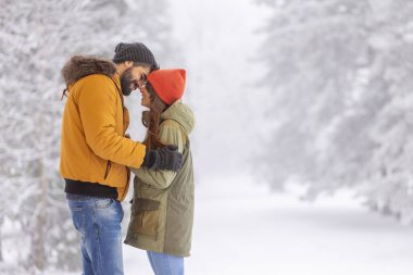 Güzel, genç bir çift kış tatilini dağlarda geçirir. Karlı kış günlerinde kucaklaşır, öpüşür ve dışarıda dinlenir.