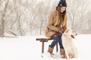 Güzel Labrador Retriever ve güzel sahibi soğuk ve karlı bir kış gününün tadını çıkarıyorlar.