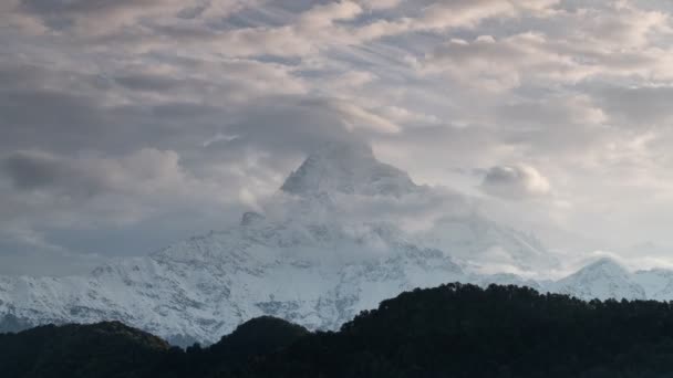 日落时美丽的马卡普尔峰或鱼尾峰的美丽山景的时间差 这是位于尼泊尔薄原市Annapurna山脉的博克拉峰最有名的景观 — 图库视频影像