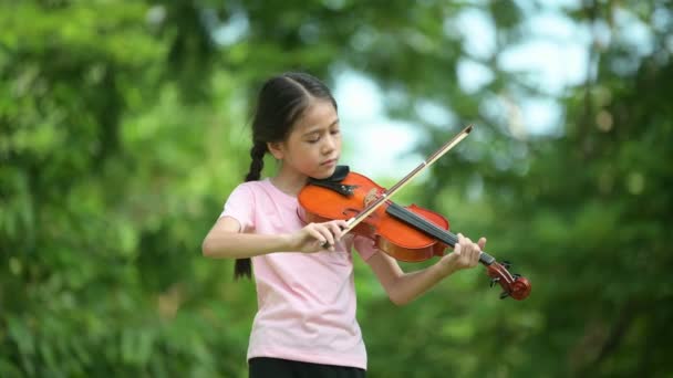 Parkta Keman Çalan Tatlı Asyalı Küçük Kız Eğitim Müziği Konsepti — Stok video