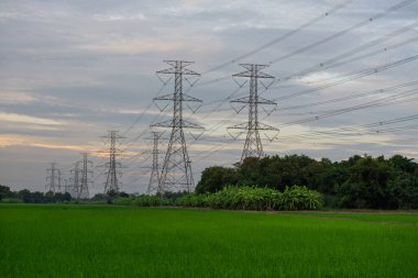 Yüksek voltajlı elektrik direği yapısı ya da günbatımında pirinç tarlalı yüksek voltajlı elektrik iletim kulesi.