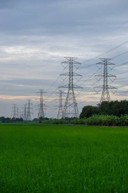 Yüksek voltajlı elektrik direği yapısı ya da günbatımında pirinç tarlalı yüksek voltajlı elektrik iletim kulesi.