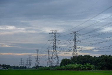Yüksek voltajlı elektrik direği yapısı ya da günbatımında pirinç tarlalı yüksek voltajlı elektrik iletim kulesi.