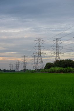 Yüksek voltajlı elektrik direği yapısı ya da günbatımında pirinç tarlalı yüksek voltajlı elektrik iletim kulesi.