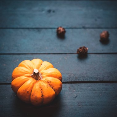 Sonbahar balkabağı ve sonbahar dekoru kopyalanmış ahşap arka planda