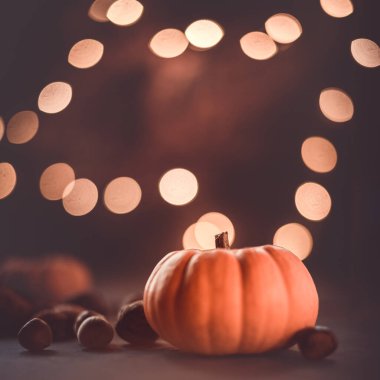 Sonbahar balkabakları ve sonbahar süslemeleri kırsal bir arka planda ışıkla aydınlatılmış