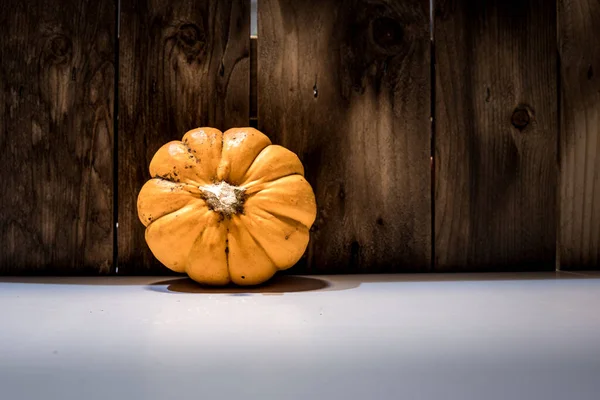 Autumn Pumpkin Fall Decor Rustic Wood Background Copy Space — Stock Photo, Image