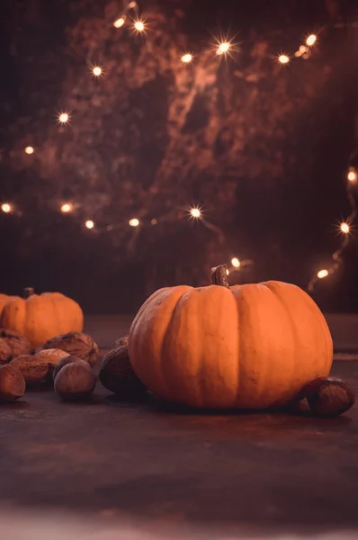 Herbst Kürbisse Und Herbst Dekor Auf Rustikalem Hintergrund Beleuchtet Mit — Stockfoto
