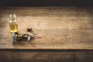 Ahşap zemin üzerinde okaliptüs filizi olan küçük cam bir şişedeki temel yağ. Seçici odak ve metin için alanı kopyala. Doğal kozmetik ürünleri.