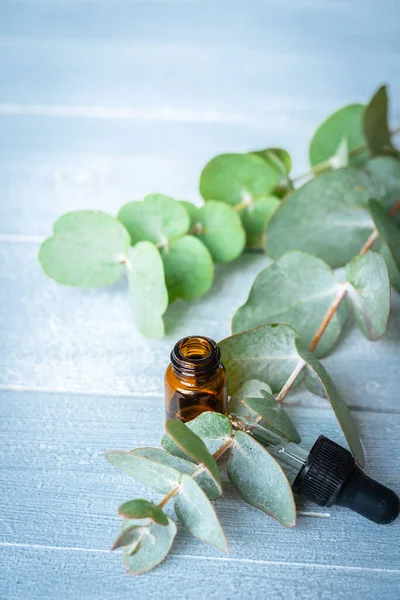 Ätherisches Einem Kleinen Glasfläschchen Mit Eukalyptuszweigen Auf Einem Holzgrund Selektiver — Stockfoto