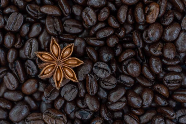 Star Anise Isolated Background Full Arabica Coffee Beans — Stock Photo, Image