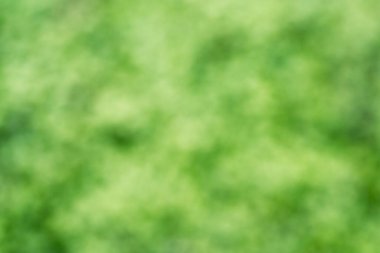 Bahar arkaplanı - yeşil bulanık bokeh ışıkları ile soyut doğa arkaplanı