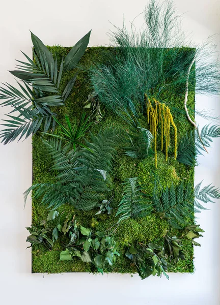Miljövänliga Gröna Växtbaserade Väggdekorationer Kit Stabiliserad Växt Vägg Djungel Med — Stockfoto