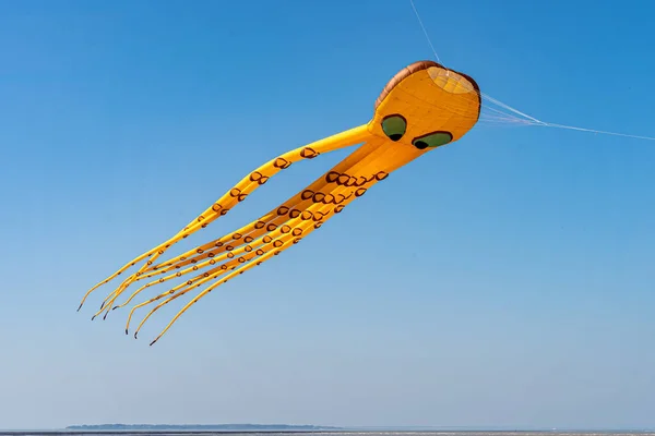 在风筝节上 橙色的章鱼风筝在蓝天上飞翔 — 图库照片