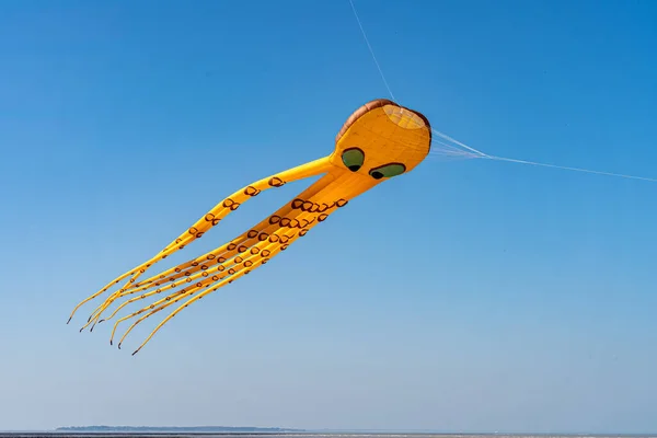在风筝节上 橙色的章鱼风筝在蓝天上飞翔 — 图库照片