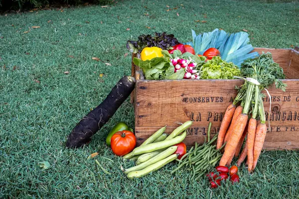 Fresh Colorful Vegetable Vintage Wooden Box Francaise Meaning French — Stock Photo, Image