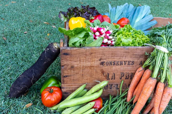 ffresh and colorful vegetable in a vintage wooden box \