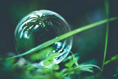 The soap bubble shimmers against the background of green grass and palms. Close-up photo. concept of fragility