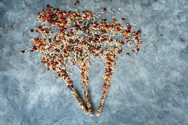 explosion of multicolored seeds from swarm tubes on a grey background. pumpkin seeds, poppies, beans, etc.