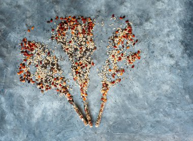 explosion of multicolored seeds from swarm tubes on a grey background. pumpkin seeds, poppies, beans, etc.