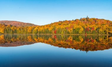 Sonbahar ormanı suya yansıyor. Dağlarda renkli bir sonbahar sabahı. Dağ gölünde renkli bir sonbahar sabahı. Renkli sonbahar manzarası. Parc national Mont Tremblant. Quebec 'te. Kanada 'da sonbahar