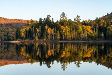 Sonbahar ormanı suya yansıyor. Dağlarda renkli bir sonbahar akşamı. Dağ gölünde renkli bir sonbahar sabahı. Renkli sonbahar manzarası. Parc national Mont Tremblant. Quebec 'te. Kanada 'da sonbahar