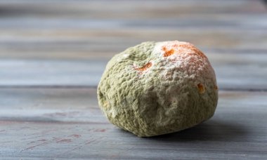 Ahşap masada küflü çürük ve taze mandalina meyvesi.