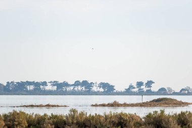 Gri suya soyut damlalar. Yakın çekim.