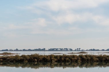 Lilleau des Niges 'in Fransa' daki Ile de Re adasındaki doğal rezervlerinin tuzlu bataklıkları.