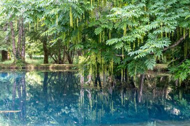 Lilleau des Niges 'in Fransa' daki Ile de Re adasındaki doğal rezervlerinin tuzlu bataklıkları.