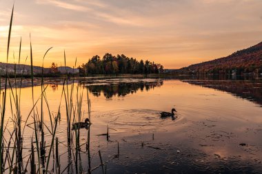 Renkli bir sonbahar akşamı göle yansıyor. Dağ gölünde renkli sonbahar günbatımı. Renkli sonbahar manzarası. Parc national Mont Tremblant. Quebec 'te. Kanada 'da sonbahar