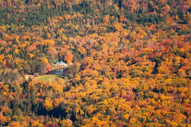 Mont Tremblant, Quebec, Kanada 'da Hindistan yazı boyunca çok renkli ağaçlar