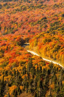 Mont Tremblant, Quebec, Kanada 'da Hindistan yazı boyunca çok renkli ağaçlar