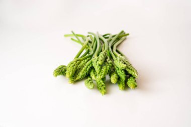 Beyaz arka planda pişmeye hazır taze kuşkonmaz. metin için boşluk kopyala