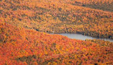 Mont Tremblant, Quebec, Kanada 'da Hindistan yazı boyunca çok renkli ağaçlar