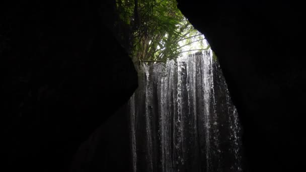 Wasserfall Der Mitten Dschungel Eine Höhle Fällt Bali Indonesien Hochwertiges — Stockvideo