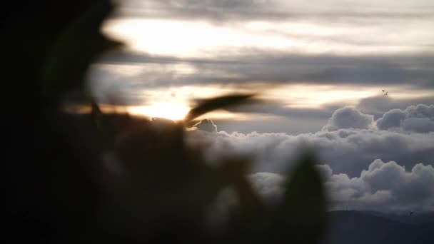 Захід Сонця Повільний Рух Кадрів Сонцем Хмарами Горизонті Високоякісні Fullhd — стокове відео